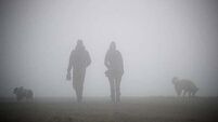 Status yellow fog warning issued for entire country