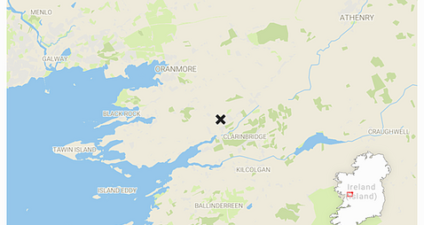 Appeal for witnesses after man (30s) dies the day after unreported collision in Galway