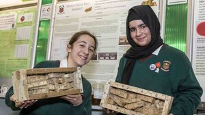 Local school wins award at Young Scientist Expo