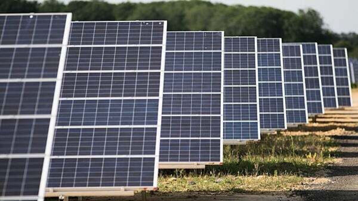 Badger concerns stall €141 million Kildare solar farm