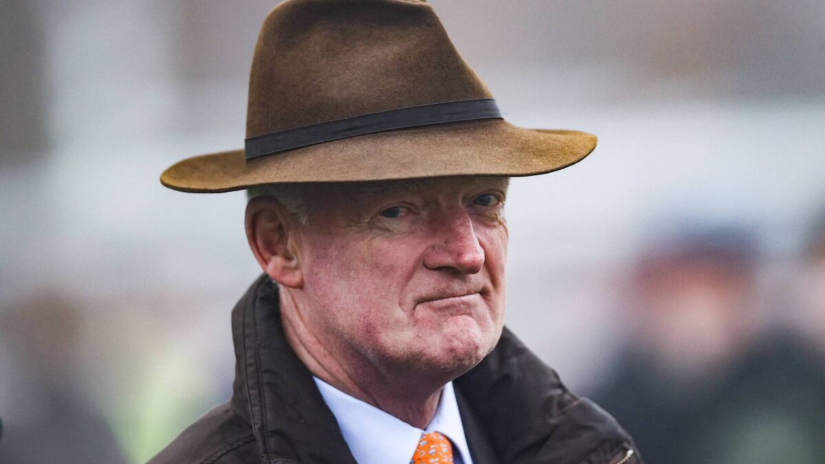 Kiss Will holds Cheltenham Festival entry after impressive debut