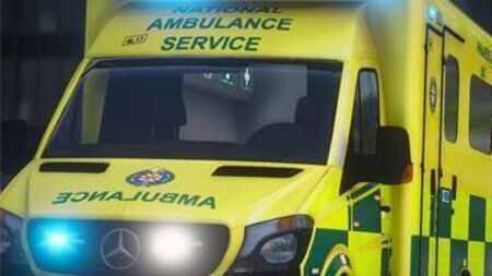 Local services rescue stranded ambulance during cold snap