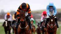 Thyestes Chase catches the attention of Carlow and Kilkenny on Thursday