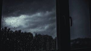 Cork City Council activates severe weather plan ahead of Storm Éowyn Cork City Council activates severe weather plan ahead of Storm Éowyn