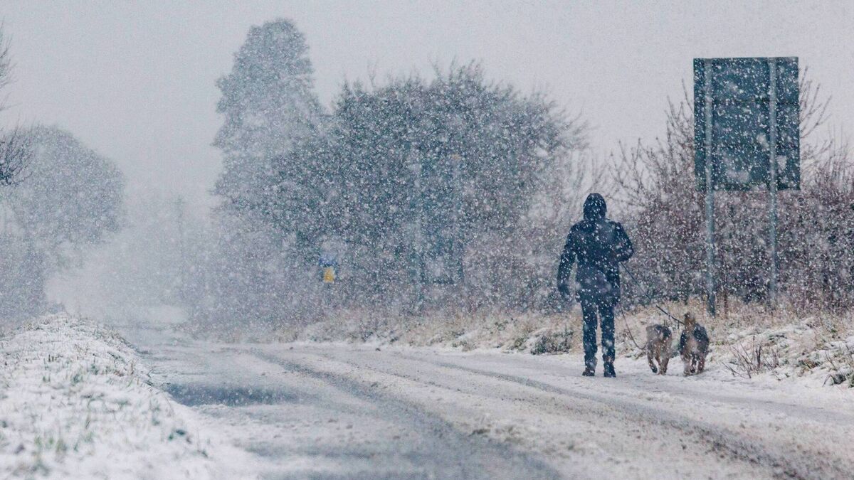Emergency services praised by councillors for their ‘huge work’ during the big freeze