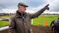 Some interesting runners for Mullins at Fairyhouse on Saturday