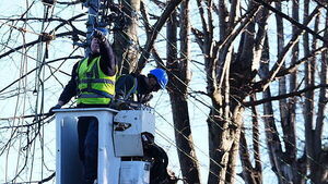Storm Éowyn: Over 350,000 homes and businesses still without power Storm Éowyn: Over 350,000 homes and businesses still without power