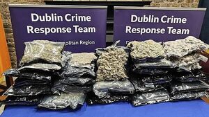 Man (20s) arrested after gardaí seize €300,000 of cannabis in Dundrum Man (20s) arrested after gardaí seize €300,000 of cannabis in Dundrum