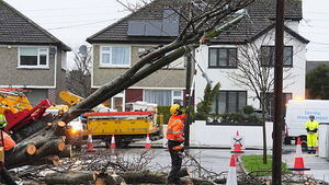 Storm Éowyn: Over 100,000 homes to be without power for over a week Storm Éowyn: Over 100,000 homes to be without power for over a week
