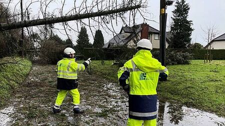 Storm Éowyn: Stormont leaders urge energy firm to compensate those without power