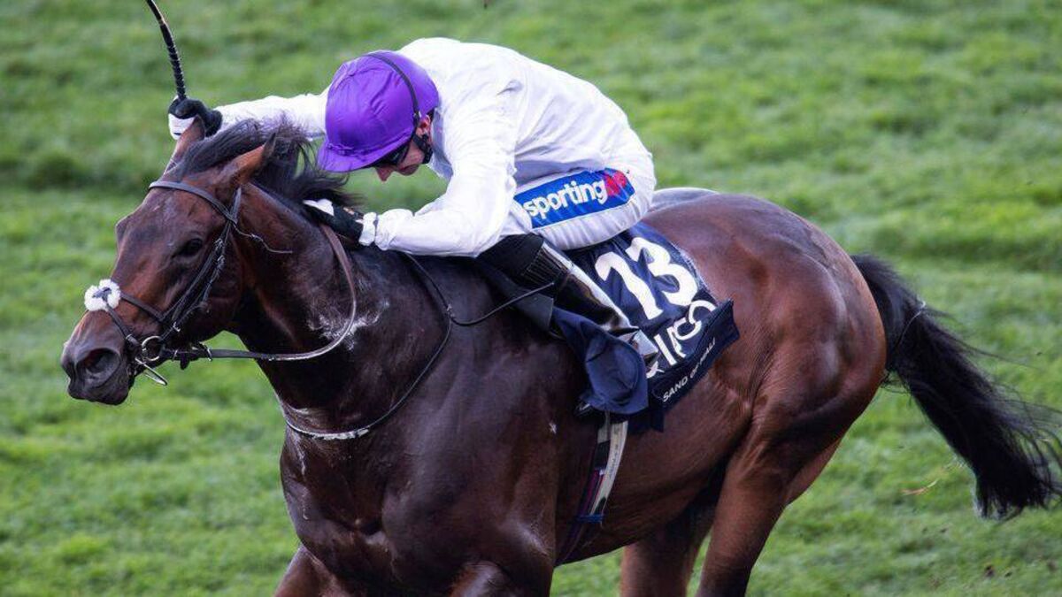 High Court to decide on dispute over top stallion worth €2.4 million