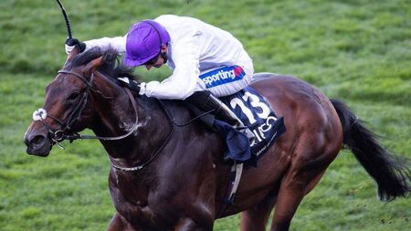 High Court to decide on dispute over top stallion worth €2.4 million