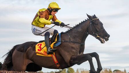 Galaxy of stars on display at DRF