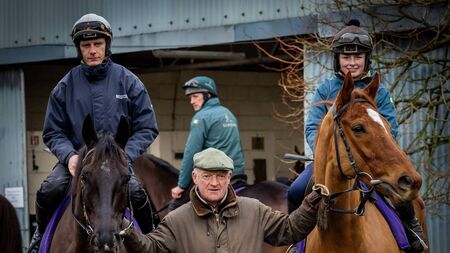 Will Mullins dominate the DRF again?