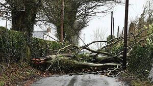 Storm Éowyn: Army should be called in to help vulnerable, TD says Storm Éowyn: Army should be called in to help vulnerable, TD says