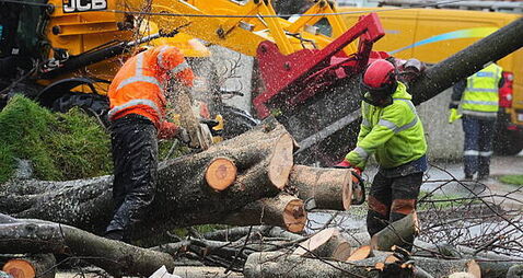 Storm Éowyn: Almost 3,000 people helping ESB to restore power amid anger over response
