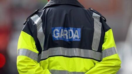 Fatal road collision on Carlow's N80