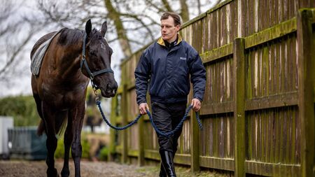 Preview of Dublin Racing Festival