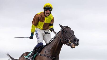 Mullins labels glorious Galopin his best ever