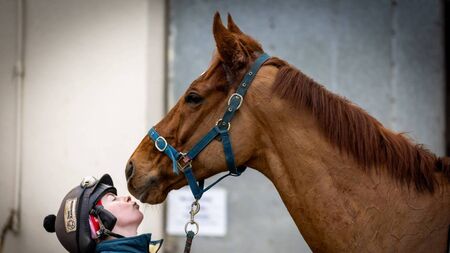 Third consecutive victory for State man and Willie Mullins