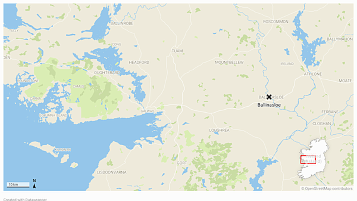 Gardaí investigating after shots fired at two homes in Ballinasloe