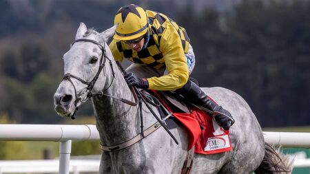 Loveable Asterion Forlonge out to give Willie Mullins Boyne Hurdle success