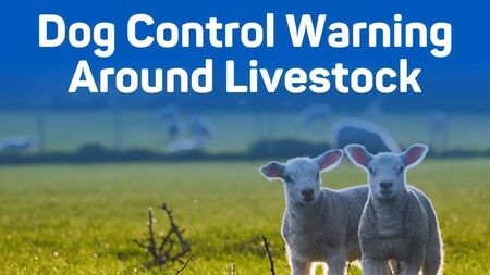 ISPCA issues dog control warning as lambing season begins