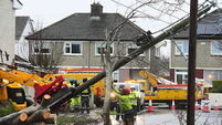 ESB chief’s claim customers will cover storm costs ‘insensitive’ — Tánaiste