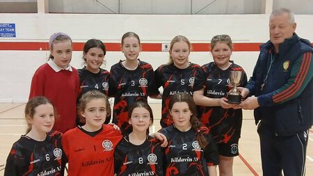 Double success for Kildavin NS