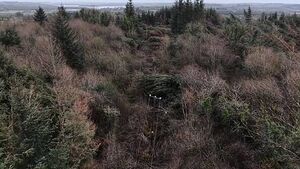 Storm Éowyn's impact lingers: 'It's day 16 without power. It's like living in the Twilight Zone'