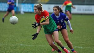Carlow outclassed by Cavan