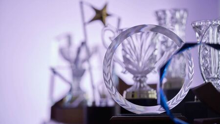 Vote in the Carlow Nationalist Sports Star of the Year Awards