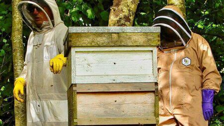 Hive of activity with beginners beekeeping course in Athy