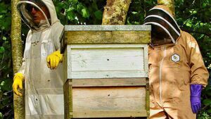 Hive of activity with beginners beekeeping course in Athy Hive of activity with beginners beekeeping course in Athy