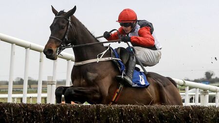 Excitement builds for the unmissable RED MILLS Raceday at Gowran Park