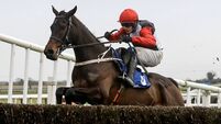 Excitement builds for the unmissable RED MILLS Raceday at Gowran Park