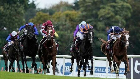 Up to 1,000 social and affordable homes set for Leopardstown racecourse