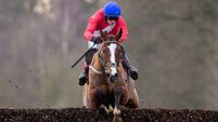 Gowran Park Racecourse: preview and tips for Saturday’s Red Mills Chase card