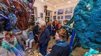 Bunclody festival of light forced inside 
