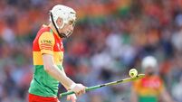 Kehoe defeated in Fitzgibbon Cup final