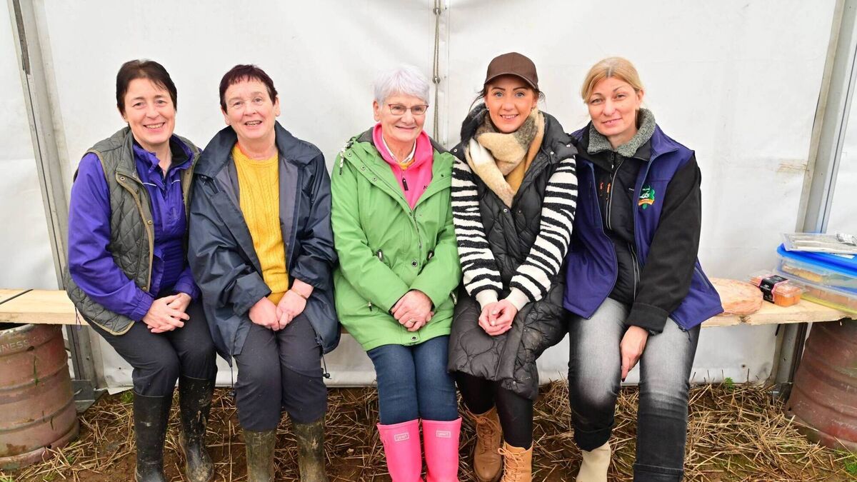 Exception skill on display at annual ploughing match