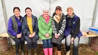 Exception skill on display at annual ploughing match 