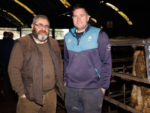 Alan Condell and Darren Hobson at Baltinglass Mart's Show and Sale
