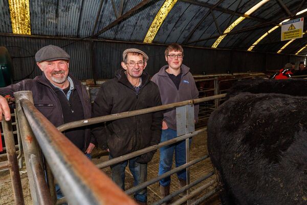 Robert, Mark and William Goodwin at Baltinglass Mart's Show and Sale