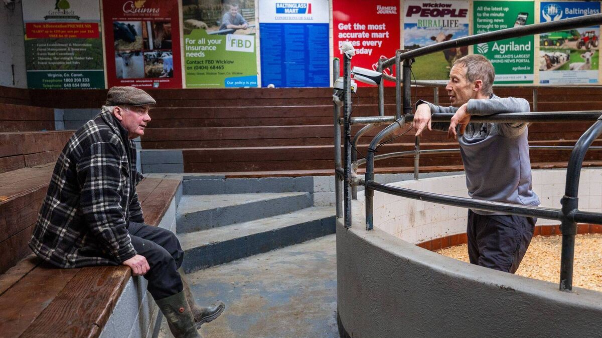 Baltinglass annual show marks 50 years with a full clearance of stock