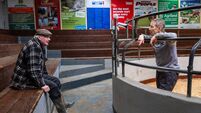 Baltinglass annual show marks 50 years with a full clearance of stock 