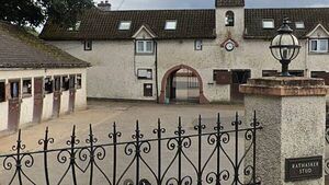 Three teens arrested in investigation into fire at Kildare stud farm Three teens arrested in investigation into fire at Kildare stud farm