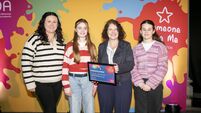 Artistic skill and understanding wins Ballinkillen NS awards