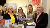 Carlow featured prominently at holiday expo