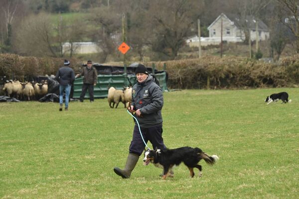 Toddy Lambe from Bunclody with his dog Sue after a job well done